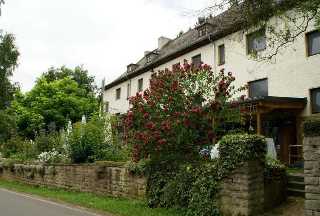 فندق Altes Zollhaus Naehe Luxemburg Ammeldingen an der Our المظهر الخارجي الصورة