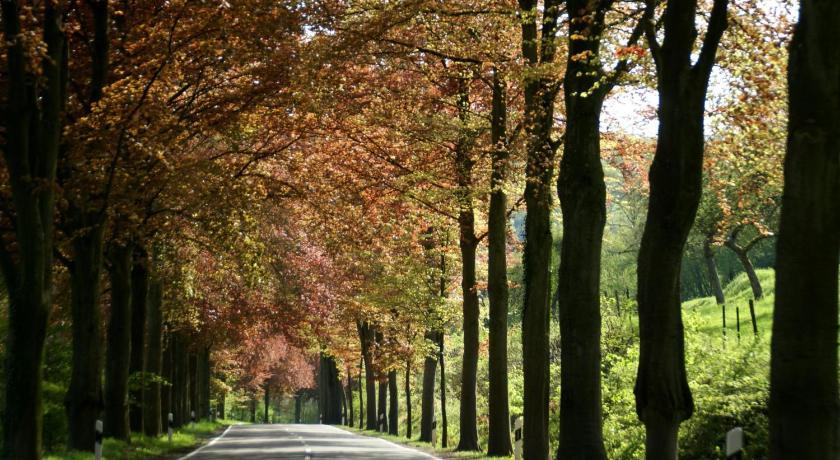 فندق Altes Zollhaus Naehe Luxemburg Ammeldingen an der Our المظهر الخارجي الصورة